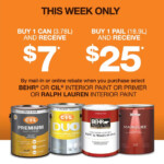 Home Depot Deck Paint Rebate